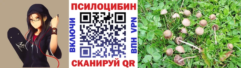 omg зеркало  Белебей  Псилоцибиновые грибы GOLDEN TEACHER  продажа наркотиков 